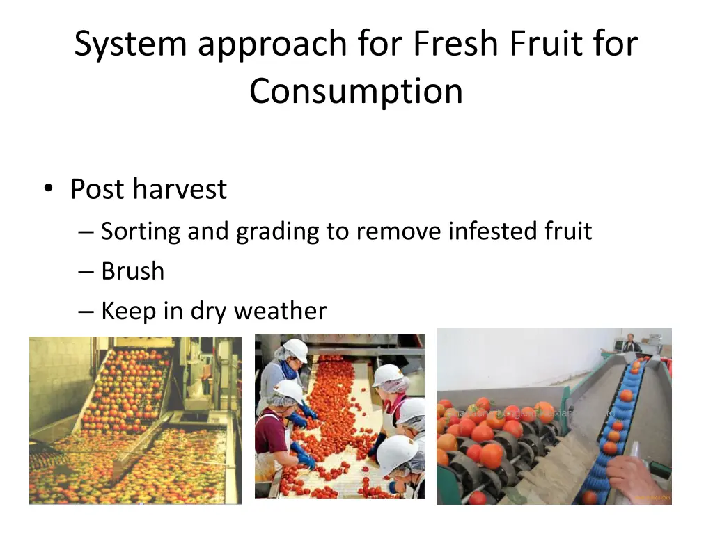 system approach for fresh fruit for consumption 3