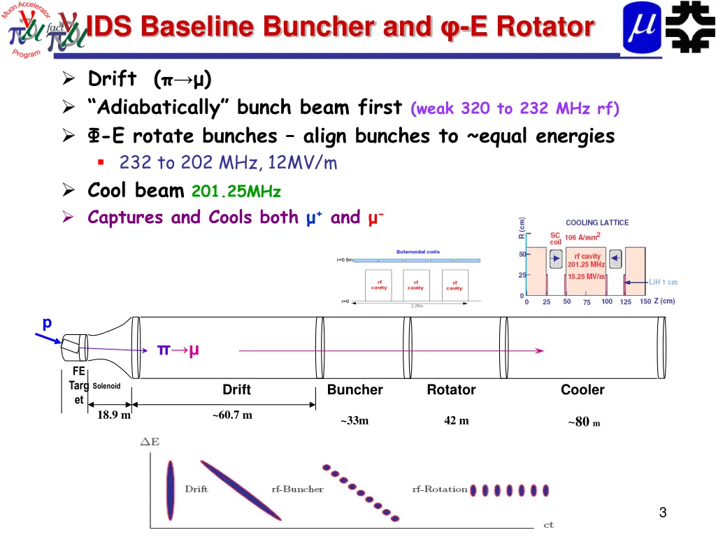 ids baseline buncher and e rotator