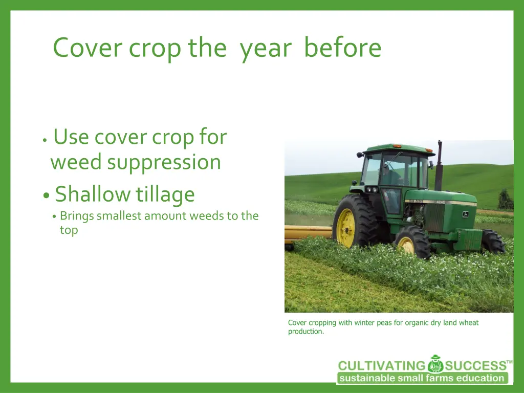 cover crop the year before