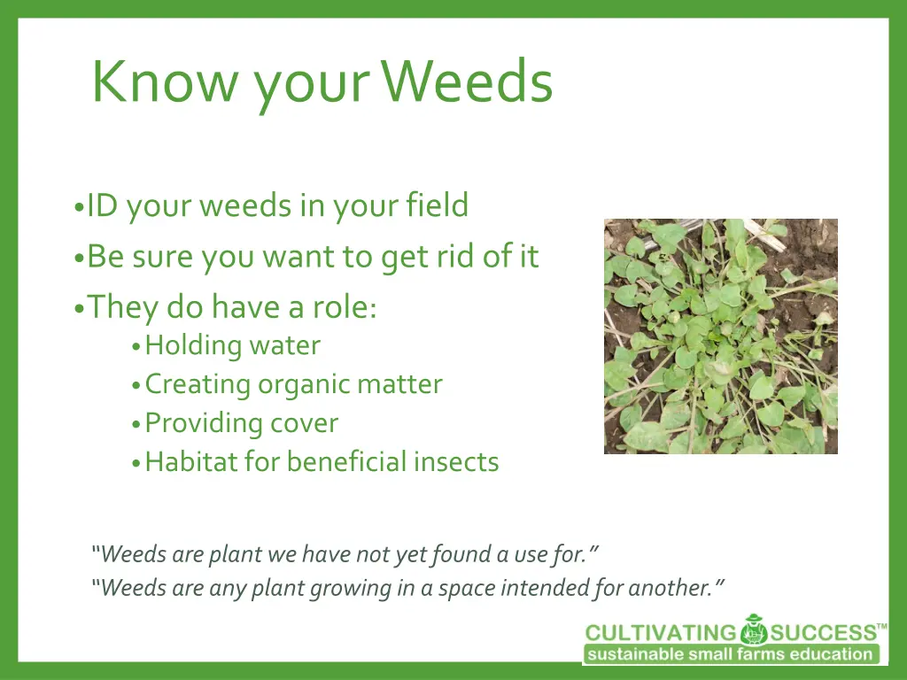 know your weeds