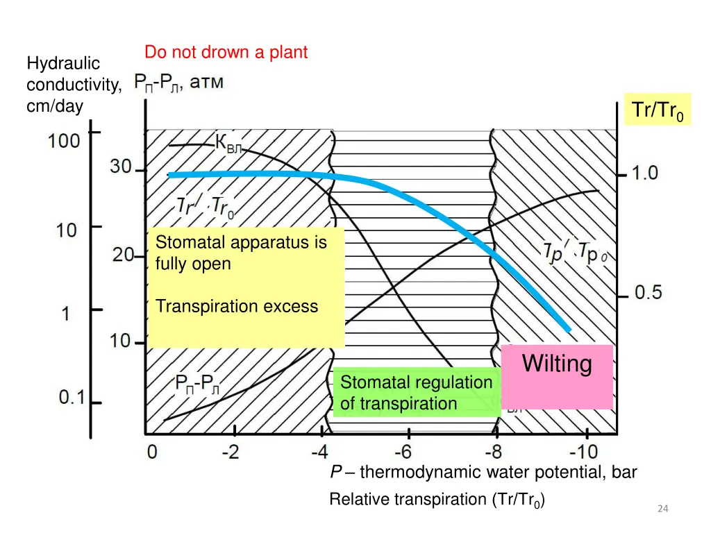 do not drown a plant