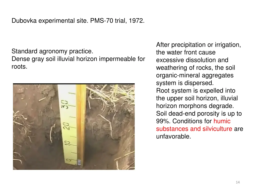 dubovka experimental site pms 70 trial 1972