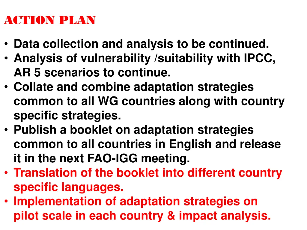 action plan