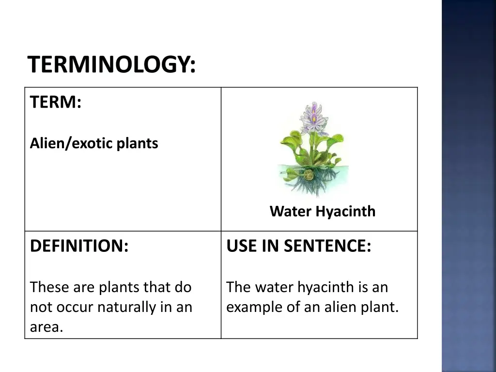 terminology 3