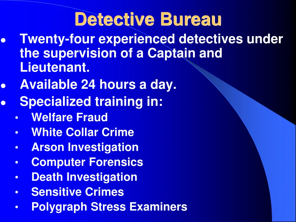 detective bureau twenty four experienced