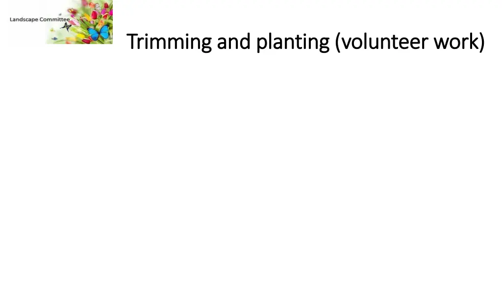 trimming and planting volunteer work trimming