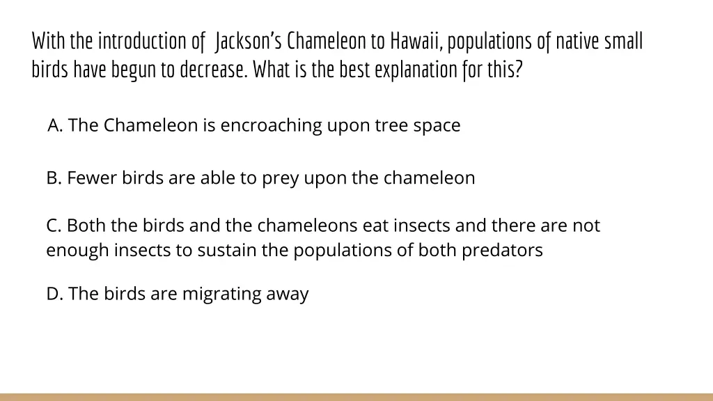 with the introduction of jackson s chameleon