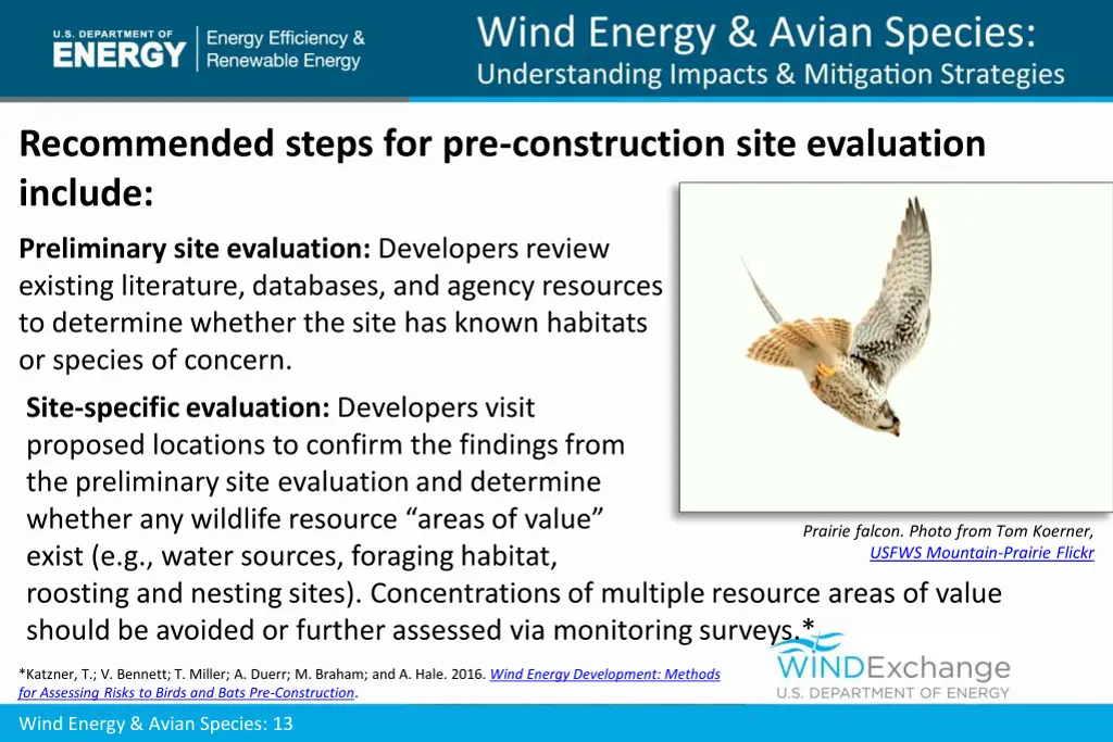 recommended steps for pre construction site