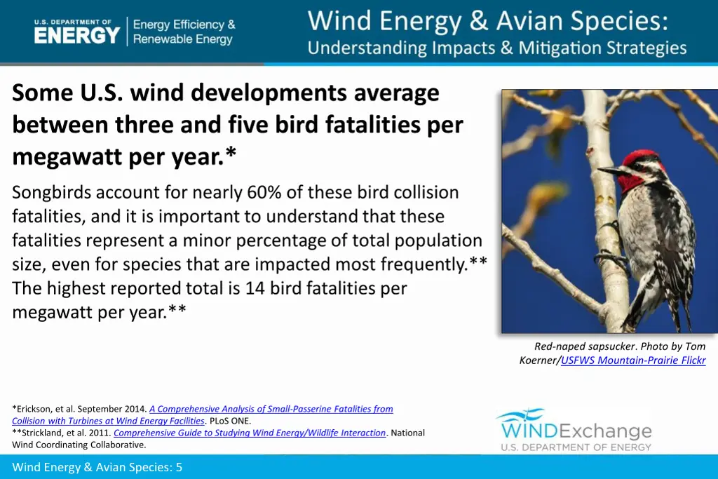 some u s wind developments average between three