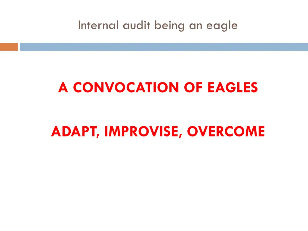 internal audit being an eagle 1