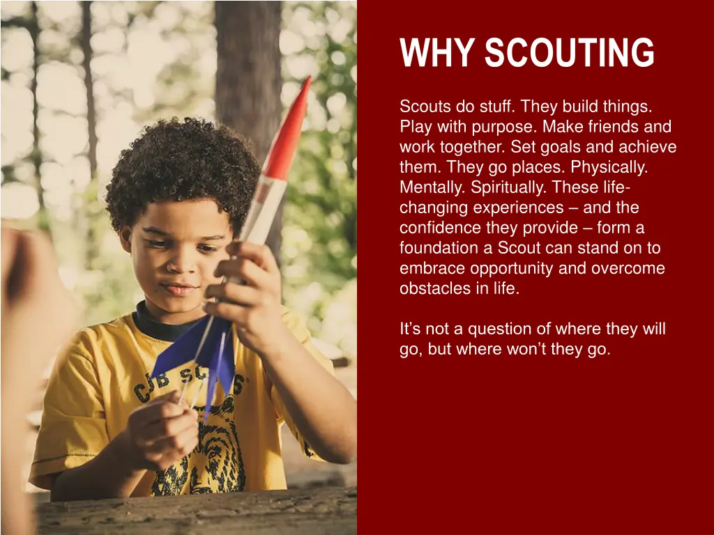 why scouting