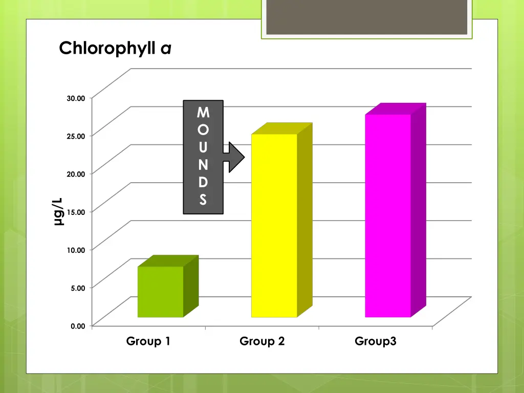 chlorophyll a 1