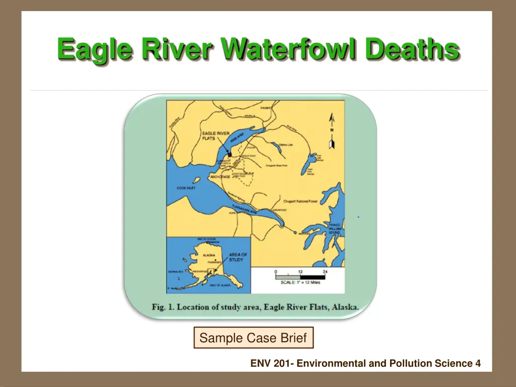 eagle river waterfowl deaths