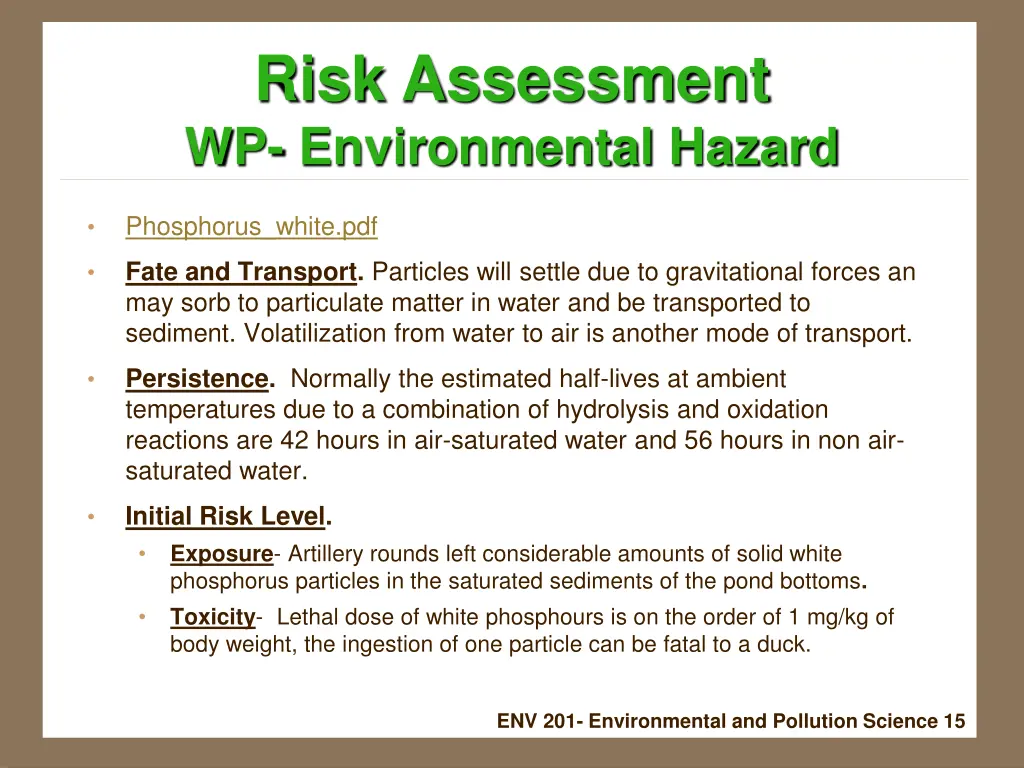 risk assessment wp environmental hazard