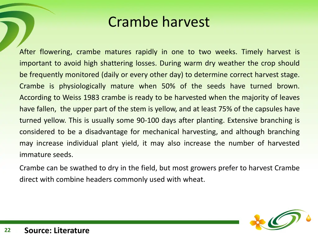 crambe harvest