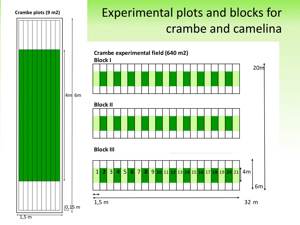 experimental plots and blocks for crambe