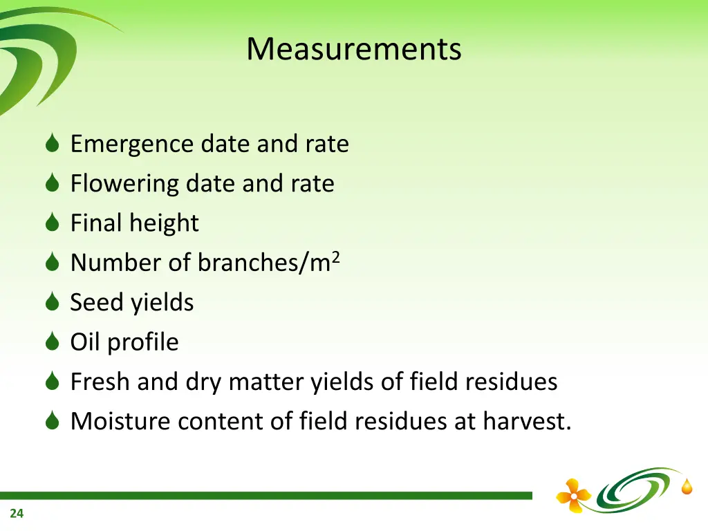 measurements