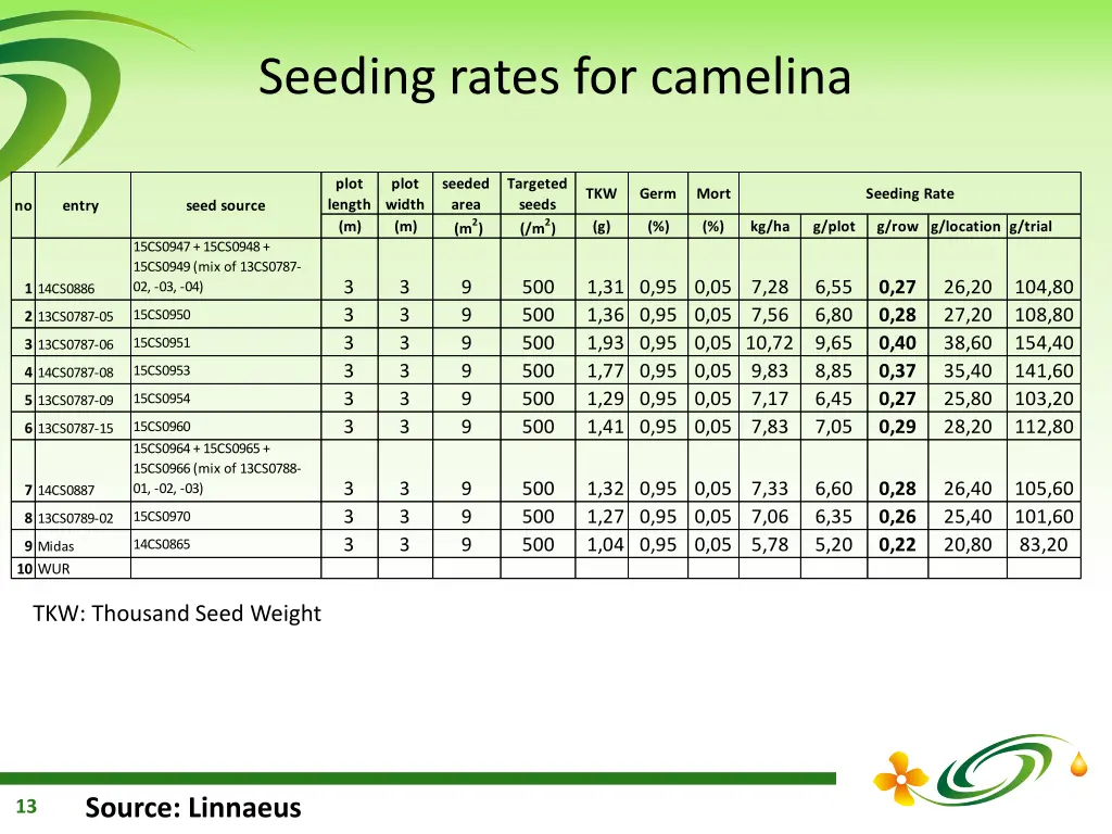 seeding rates for camelina