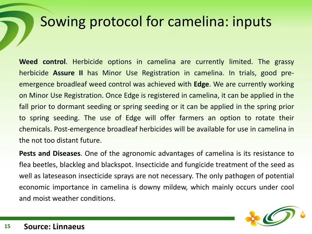 sowing protocol for camelina inputs 1