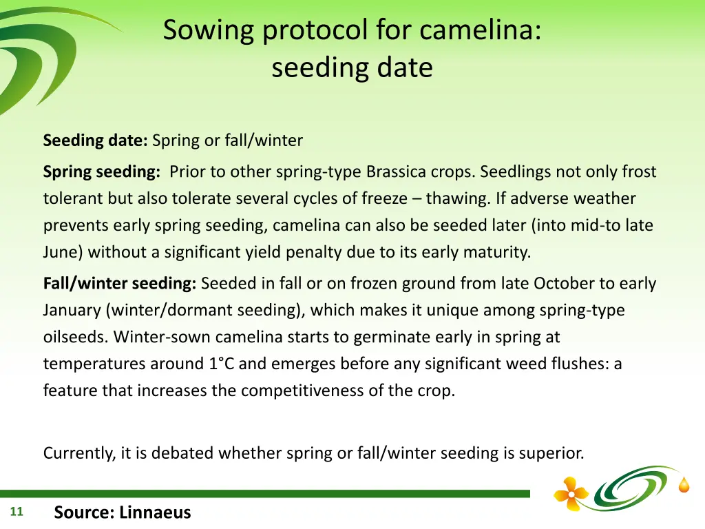 sowing protocol for camelina seeding date