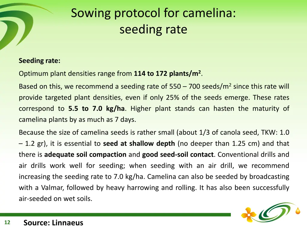 sowing protocol for camelina seeding rate