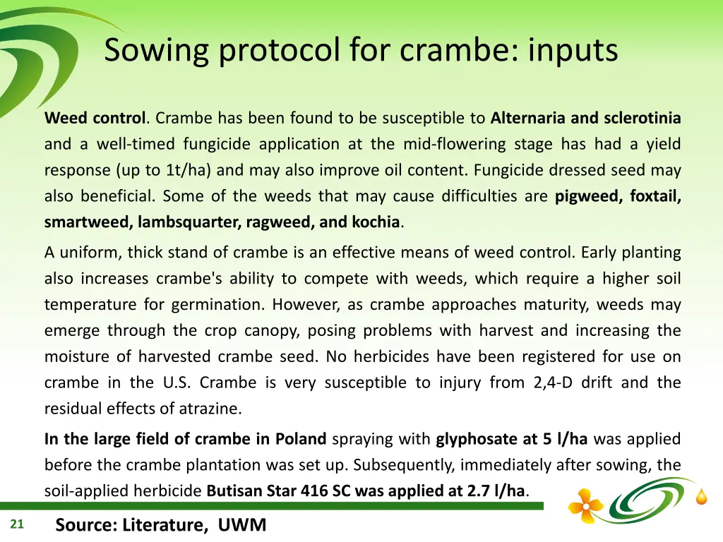 sowing protocol for crambe inputs 1