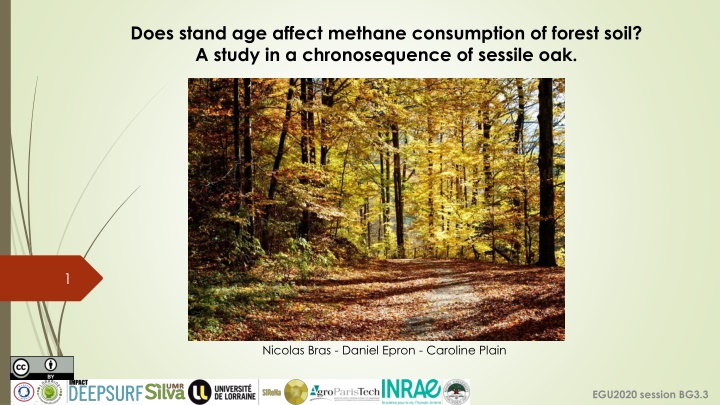 does stand age affect methane consumption