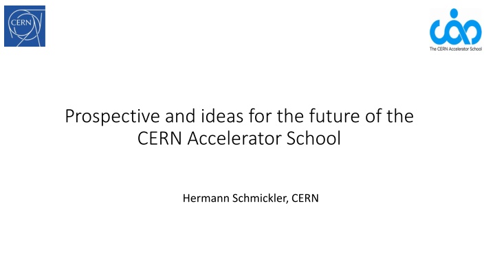 prospective and ideas for the future of the cern