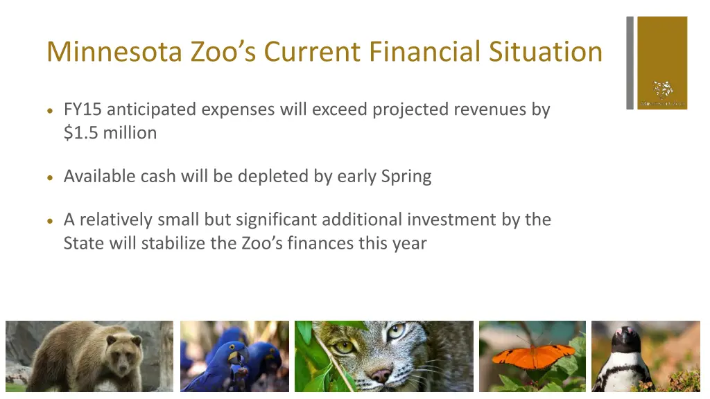 minnesota zoo s current financial situation