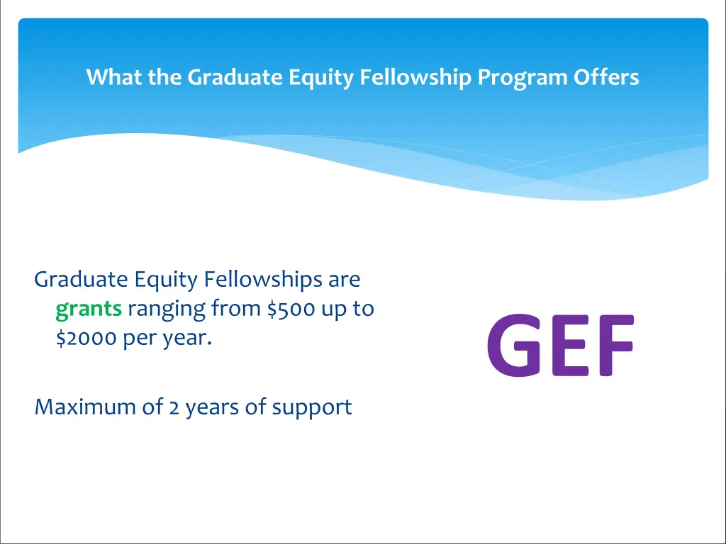 what the graduate equity fellowship program offers