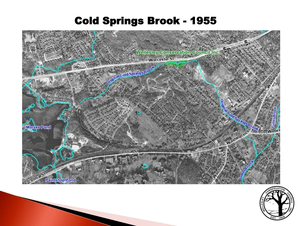 cold springs brook cold springs brook 1955