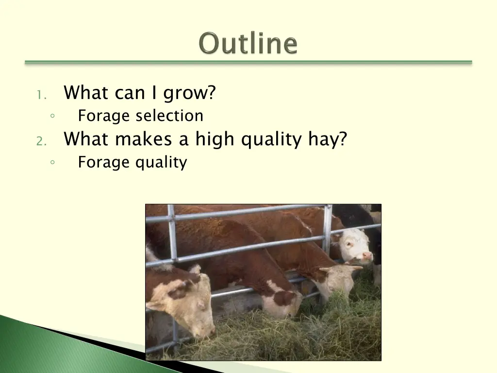 1 what can i grow forage selection 2 what makes