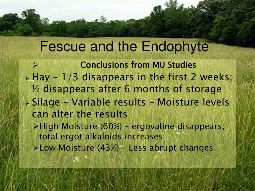 fescue and the endophyte 1