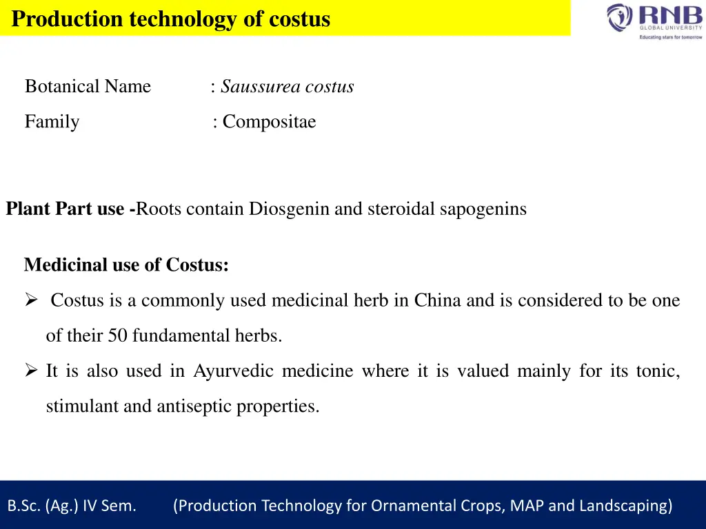 production technology of costus 1