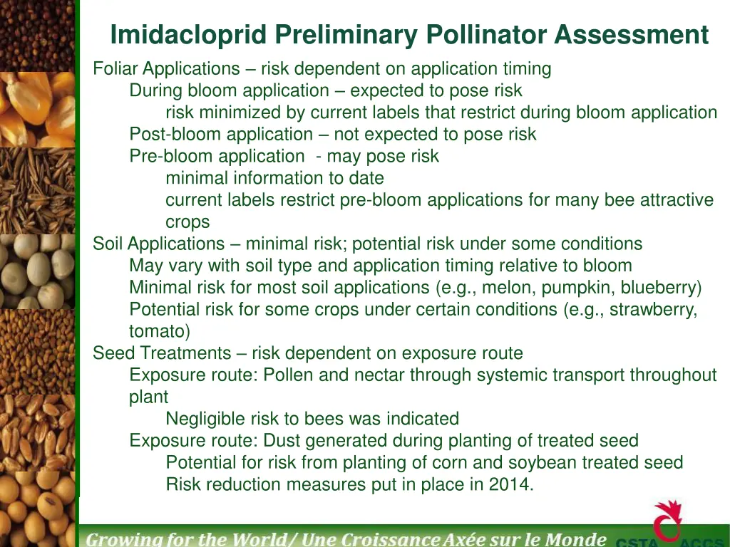 imidacloprid preliminary pollinator assessment