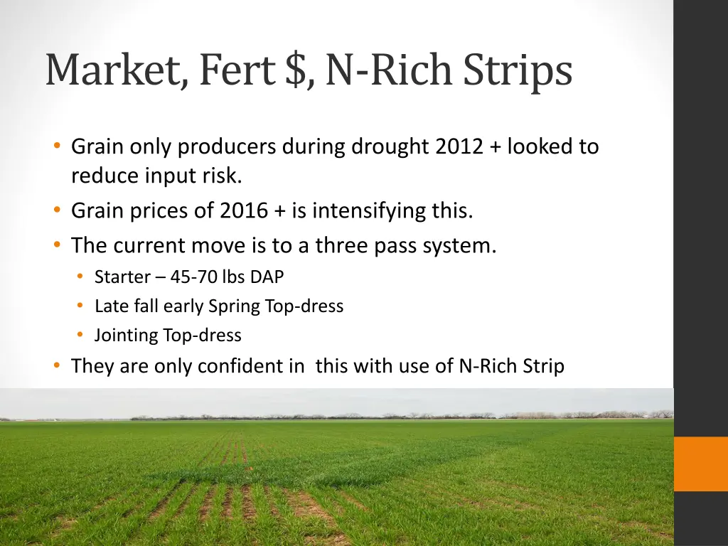 market fert n rich strips