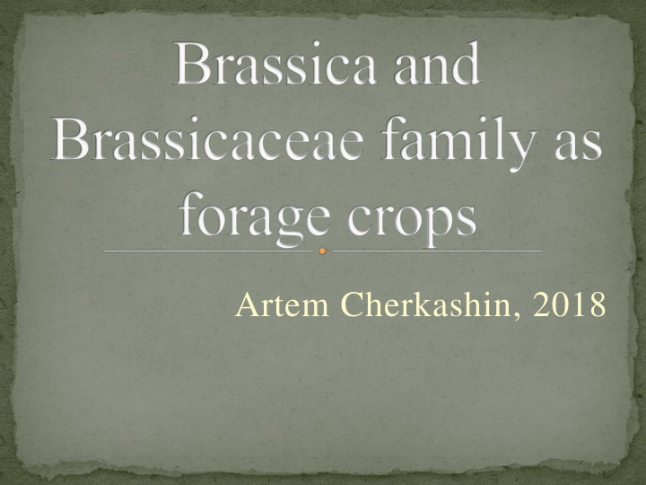 brassica and brassicaceae family as forage crops