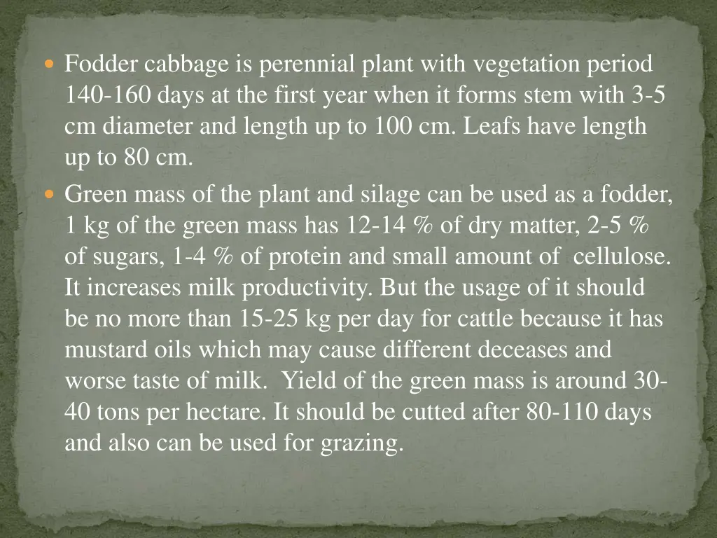 fodder cabbage is perennial plant with vegetation