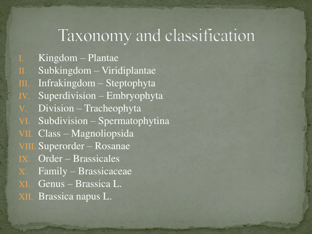 taxonomy and classification