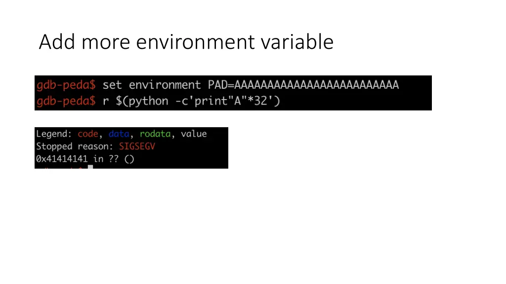 add more environment variable