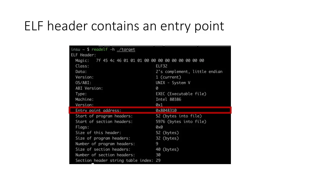 elf header contains an entry point