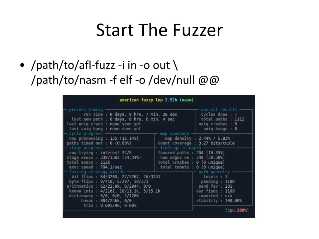 start the fuzzer