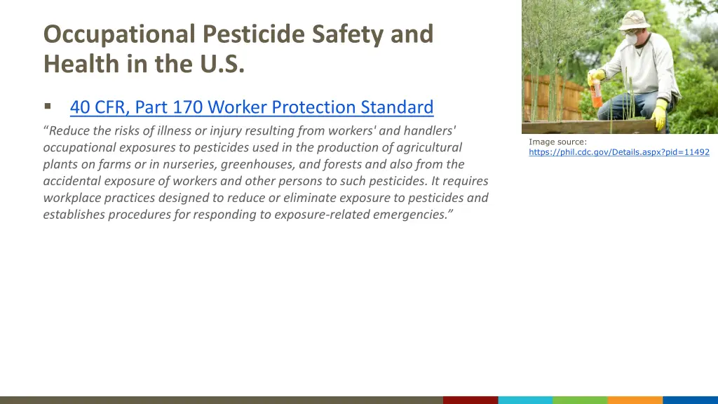 occupational pesticide safety and health