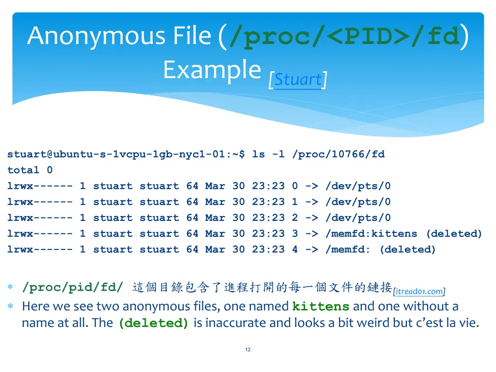 anonymous file proc pid fd example stuart