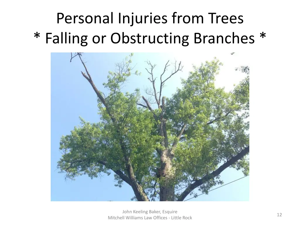 personal injuries from trees falling