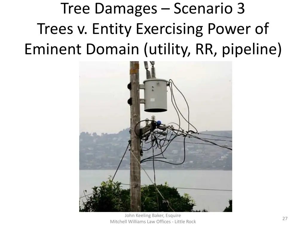 tree damages scenario 3 trees v entity exercising 3