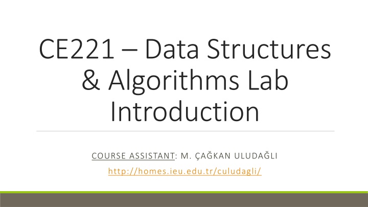 ce221 data structures algorithms lab introduction