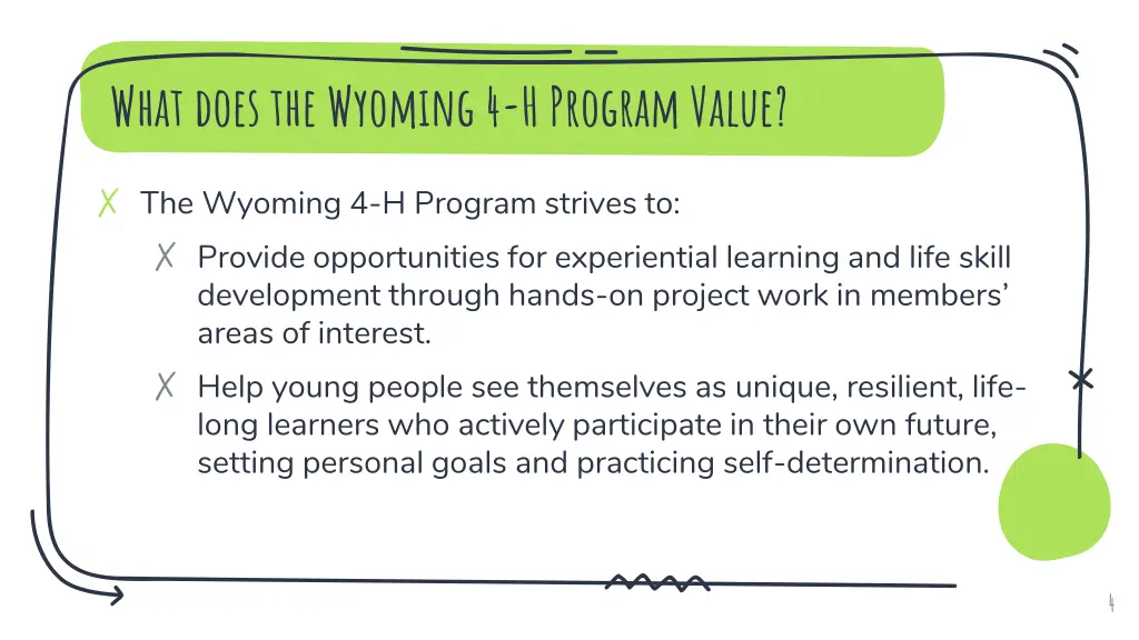 what does the wyoming 4 h program value