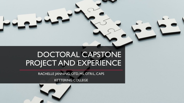 doctoral capstone project and experience