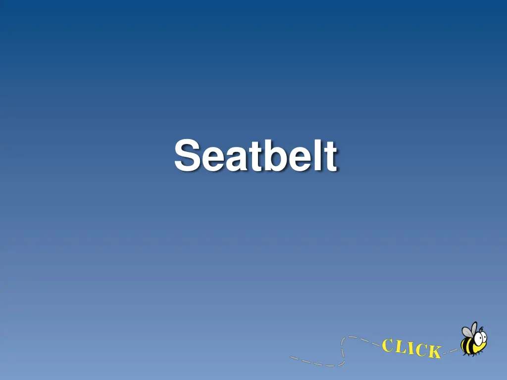 seatbelt